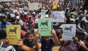 jallikattu-ap23117_08_07_2022