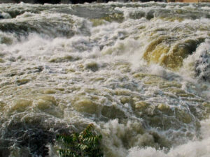 19-1474261546-cauvery577