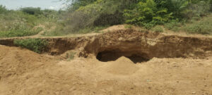 WhatsApp Image 2025-07-04 at 01.36.45_result