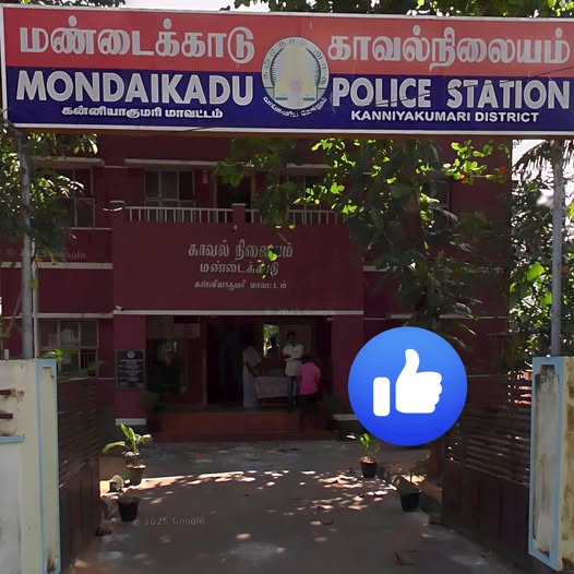 527329087_122149059722613178_2903764919884670932_n