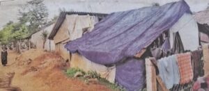 12a4bca5-61ec-41bd-b8ab-e201113becfc_result