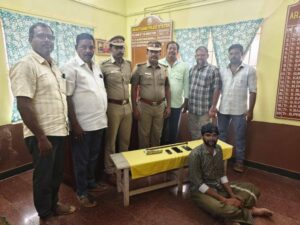 image_750x_68fe17984355e