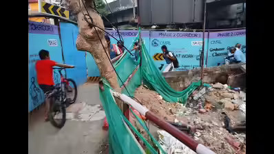 cmrl-walkways-are-dark-dirty-dangerous_result